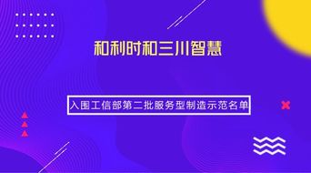 兩家儀器儀表企業(yè)榮獲工信部服務(wù)型制造示范稱號(hào)，引領(lǐng)信息系統(tǒng)集成服務(wù)新篇章
